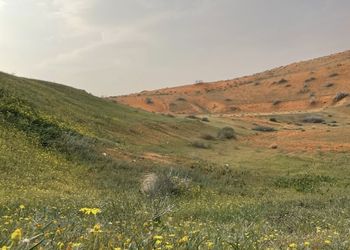 مزرعة بأجواء جميلة ومجالس واسعة