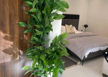 استديو بدخول ذاتي وسرير مريح 