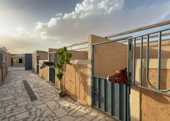 استراحة ببيت شعر وجلسة خارجة