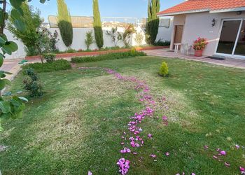 استراحة ومسطح اخضر 