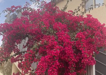 مزرعة بمسبح مطل على الحديقة