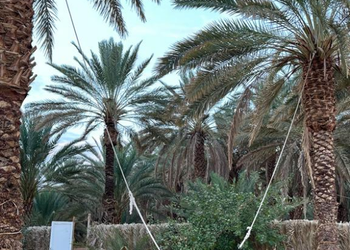استراحه بمسطحات خضراء وغرف نوم