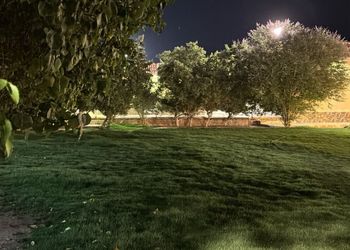استراحة بمسطح اخضر وجلسة