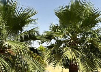 شاليه بجلسة خارجية وأجواء ممتعة 