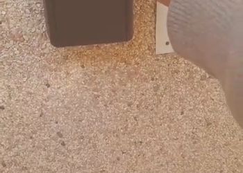 استديو بسرير ماستر