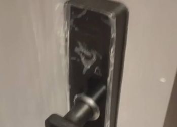 شقة بغرفة نوم وصالة 
