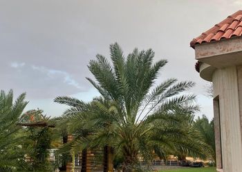 مزرعة بمسطحات خضراء وبيت شعر 