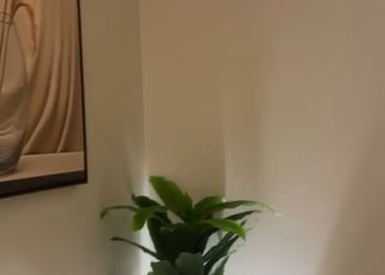 استديو بسرير ماستر دخول ذكي