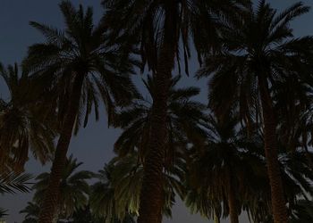 مزرعة بجلسة خارجية وألعاب أطفال 