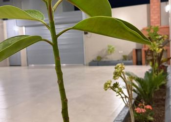 شاليه بألعاب أطفال