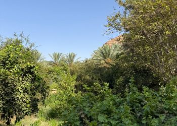 استراحة بجلسة خارجية و مجلس