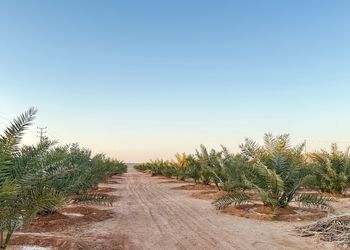 مزرعة بمناظر خلابة وجلسة خارجية 