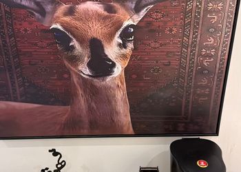 استديو هادئ بسرير ماستر 