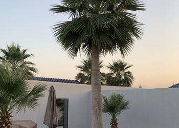 شاليه بمسطح اخضر وجلسة خارجية 