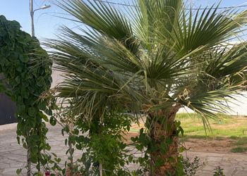 استراحة بمجلس وفناء خارجي 
