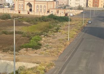 استديو هادئ بسرير ماستر 