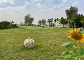 شاليه بمسطح اخضر ومسبح 