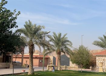 مزرعة بألعاب أطفال ومسطح اخضر