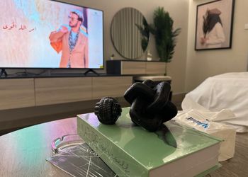 استديو بأثاث مريح وبسيط 