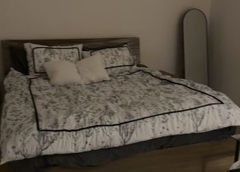 استديو بسرير مريح وأثاث بسيط