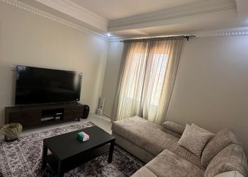 شقة بصالة وغرفة نوم وبأثاث مريح