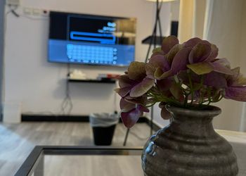 استديو هادئ بدخول ذاتي 