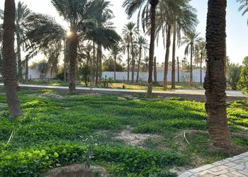 مزرعة بجلسة خارجية وأجواء ممتعة
