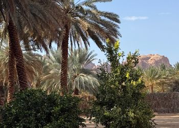 استراحة بصاله أنيقة وجلسة خارجية