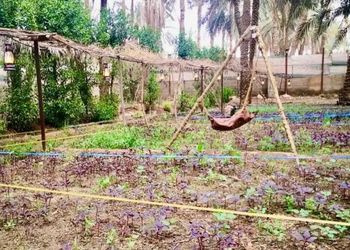 مزرعة بمسطحات خضراء وجلسة خارجية