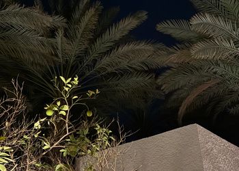استراحة بجلسة خارجية و مجلس