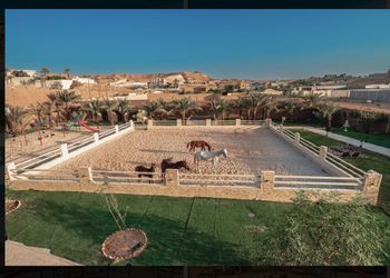مزرعة بجلسة خارجية واسطبل خيل