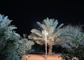 مزرعة بمسطحات خضراء وأجواء ممتعة