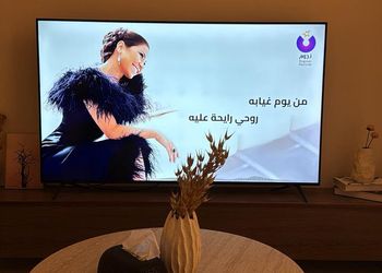 شقة بغرفة معيشة وغرفة نوم 