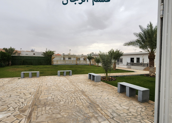 استرحه قسمين بمسبح ومسطحات خضراء