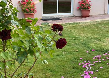 استراحة ومسطح اخضر 
