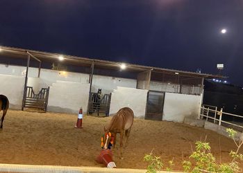 استراحة باسطبل خيل وصالة جلوس