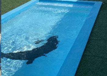 شاليه بمسبح وألعاب أطفال