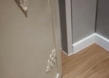 استديو بسرير ماستر