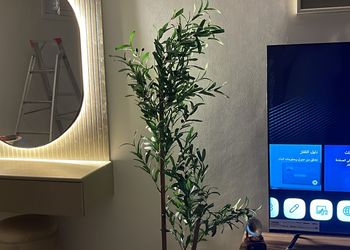 استديو بأثاث مريح وبسيط 