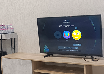 شقة بغرفة نوم وصالة 