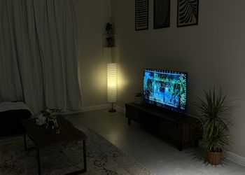 شقة بصالة ودخول ذاتي