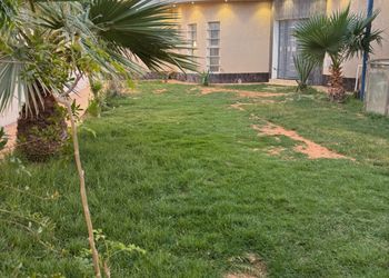شاليه بسطح اخضر وصالة جلوس
