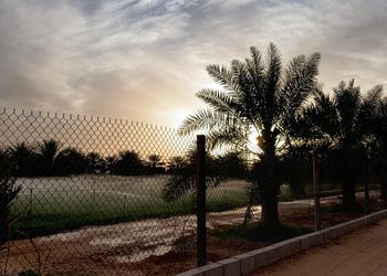 مزرعة بمسطحات خضراء وجلسة خارجية