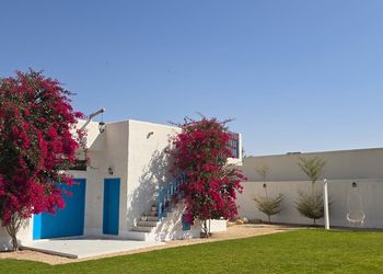 شاليه بجلسة خارجية ومسبح 