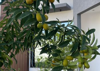 شاليه بمسطح اخضر وجلسة خارجية 