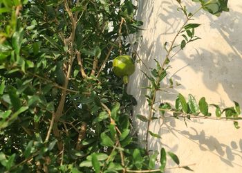 فيلا بتصميم انيق و خمس غرف نوم