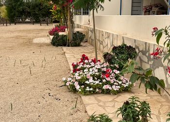 استراحة بجلسة خارجية واجواء ممتعة