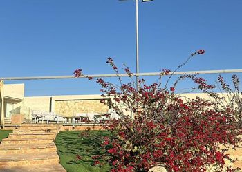 استراحة بمسطحات خضراء وملاعب
