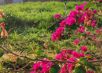 مزرعة بمسبح خارجي وأجواء ريفية