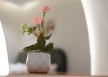 استديو بدخول ذاتي وسرير مريح 